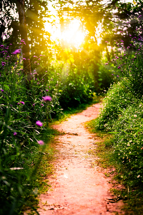 Walkway with sunset sunbeams in garden
